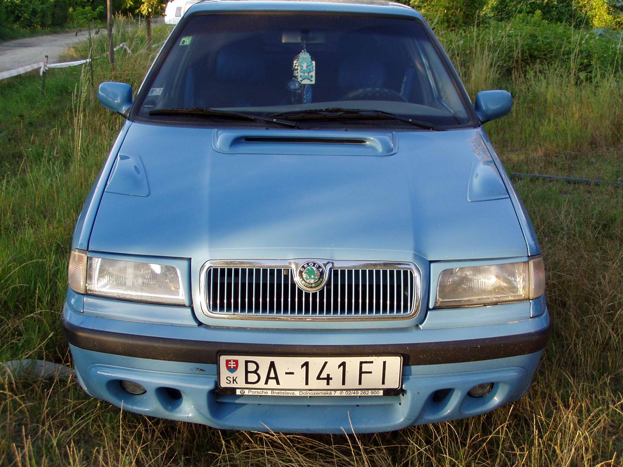 P1010006.jpg